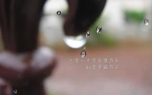 遇到网黑怎么处理最有效.提要(图)