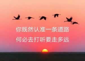 网上被黑平台不给提款了吗怎么办.文章引题(图)