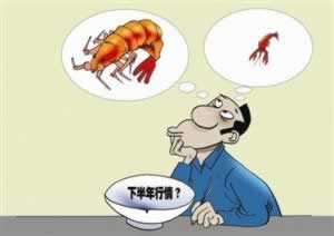 提现显示成功却未见钱入账?揭秘银行提现未到账的常见原因及应对策略