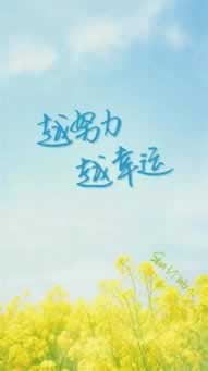 网上被黑取款系统维护.内容概略（图）