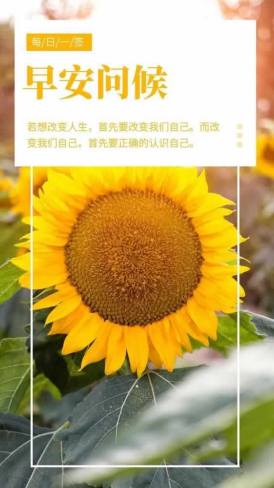 网上平台提款注单异常什么原因呢.内容慨述(图)