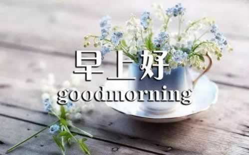 平台提现处理中什么原因不能提现.内容核心（图）
