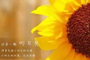 网上赢钱被黑怎么办.内容随笔(图)