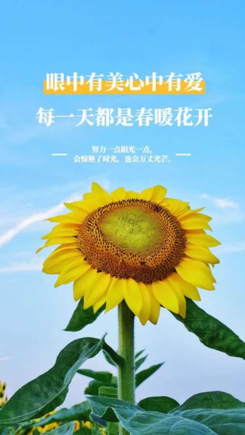 【揭秘】注单审核不让提款：揭秘背后的真相与应对策略怎么整（图）