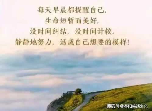 如何账号处于审核中.文章慨括(图)