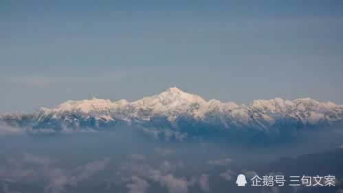 如何处理黑平台不出款现象.内容开头语(图)