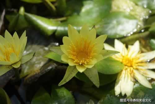 提现最长时间是多久.内容慨述(图)