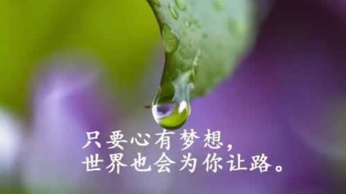 提现怎么还没有到账.读者的话(图)