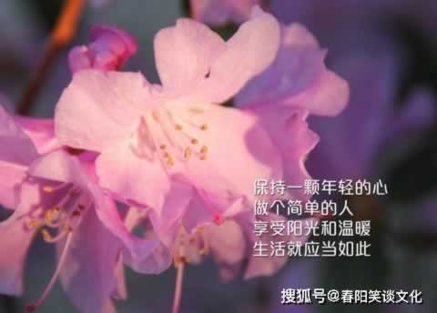 在黑网赢钱被黑延迟提款一直不到账.内容概要(图)