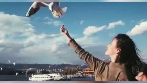 【揭秘】平台账号被风控审核出款难题,如何应对?