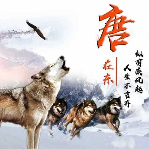 网上赢钱被黑怎么办呢.内容概要(图)