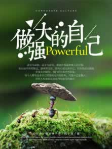数据导出后不能求和？揭秘高效数据处理技巧！