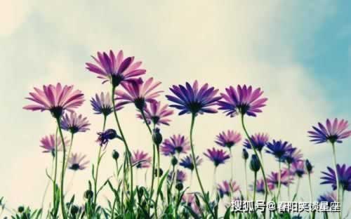 提款注单异常不给提款怎么回事.内容随笔(图)