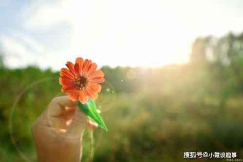 注单延迟取不出钱?揭秘解决妙招,让你轻松应对!