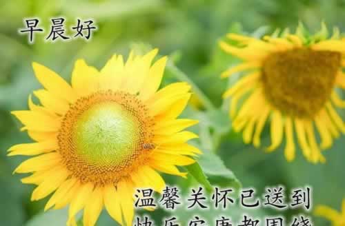 钱用不完是什么感觉？揭秘财富自由者的日常