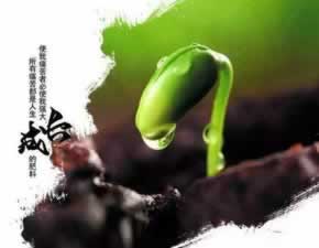 【紧急提醒】取款通道维护升级，不给出款怎么办？揭秘应对策略！有什么解决办法（图）