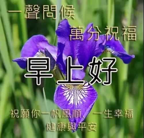 数据未回传提现不了怎么办呢.内容导语(图)