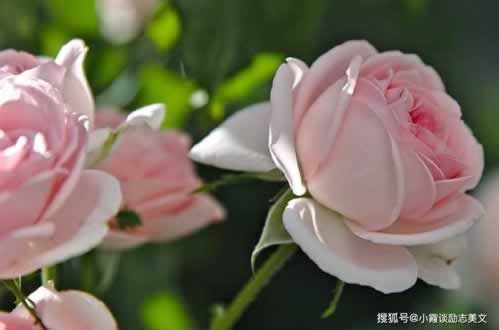 网站被黑网站维护审核风控异常财务不给出款怎么办？.引文（图）