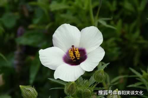 app平台提现不了怎么办.概括（图）