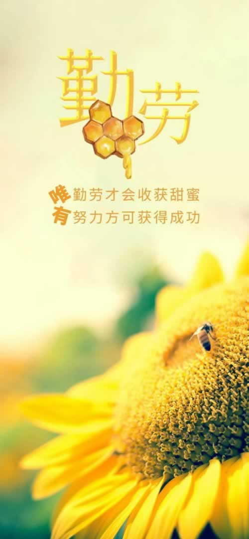 网络被黑不给提款？大风号教你如何应对！