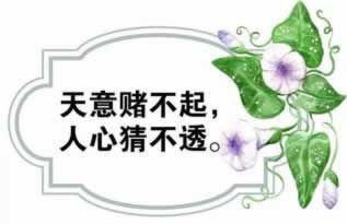 网上被黑提款不通过怎么办呢.文章创作谈(图)