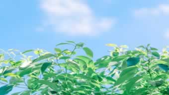 注单延迟不给出款?揭秘解决之道,让你轻松应对!