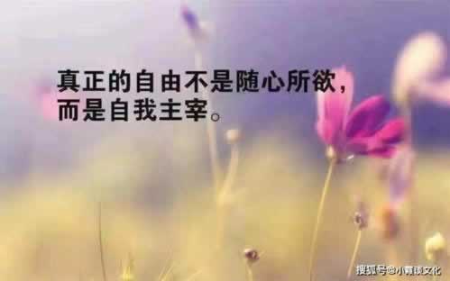 玩黑网注单未回传导致不能出款怎么解决,点开看解决思路.文章慨括(图)
