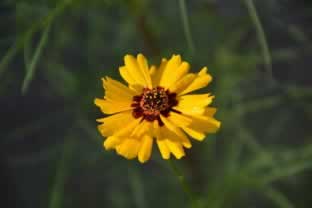 《揭秘:网上赢了不给提款,揭秘其中的陷阱与应对策略!》