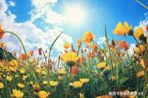 注单审核中提不了现金怎么办.内容概要(图)