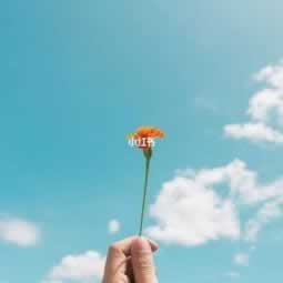 系统审核提不了款怎么办注意事项.小序(图)