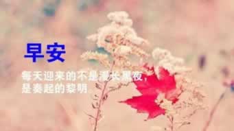 网上赢钱被黑提款被拒有什么方法解决.概括（图）