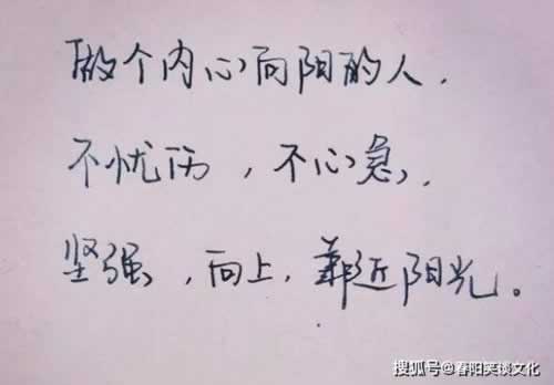 《网络视讯数据未传回？教你几招快速解决之道！》如何面对（图）