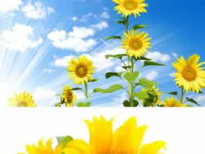 网站平台账户违规下注不能到账？揭秘应对策略，让你的权益不再受损！