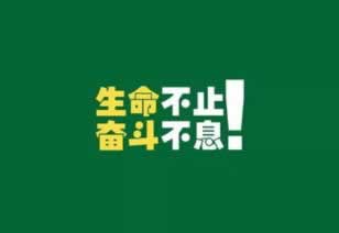 账号审核取不出钱怎么办揭秘真相.内容狮评(图)