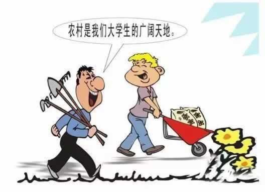 揭秘：365最专业的数据服务平台，揭秘背后的数据奥秘！处理办法（图）