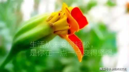提现什么时候能到账.读者的话（图）