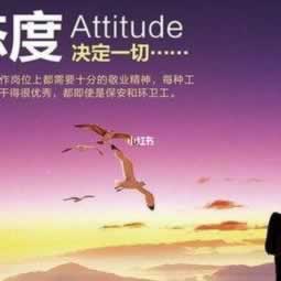 平台的钱提不出来怎么回事儿.内容慨述（图）