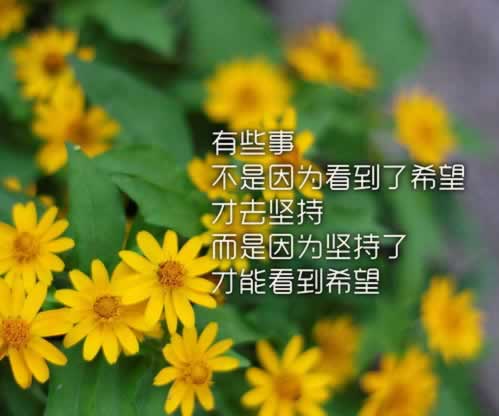 【取款通道维护升级方案范文】:揭露内幕真相