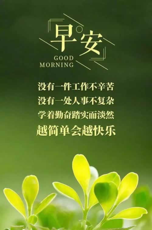 【揭秘】网上数据延迟不给提现，揭秘背后的真相与应对策略