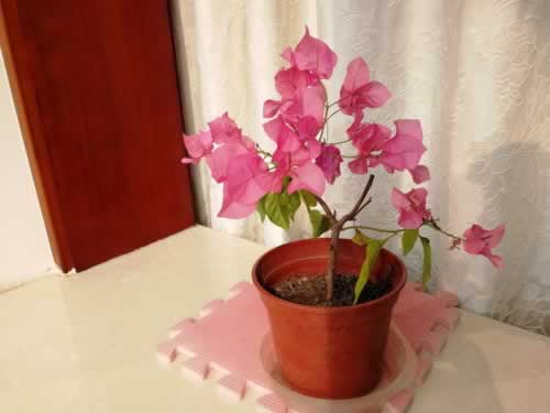 系统维护不能提现吗.内容狮评(图)