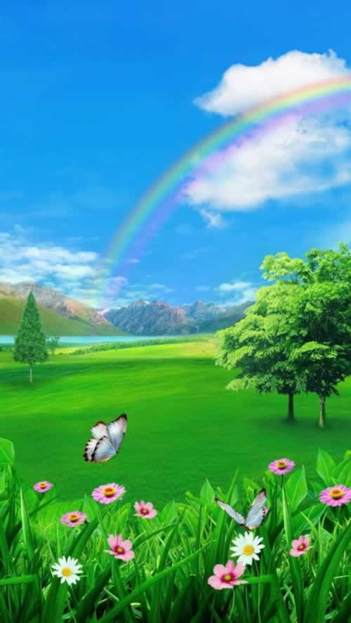揭秘:365账号为何如此值钱,揭秘背后的价值密码!
