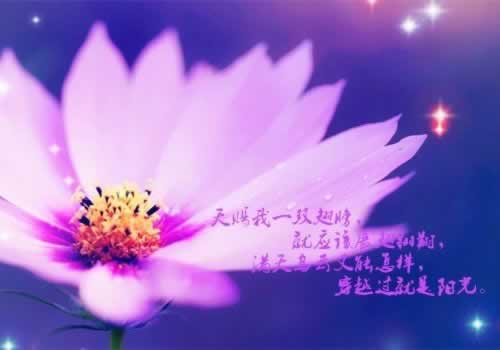 网站被坑被黑了提不了款？一对一专业指导，助你重拾信心！