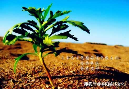 网上被黑藏分出款的方法技巧揭秘:揭秘那些不为人知的秘密!