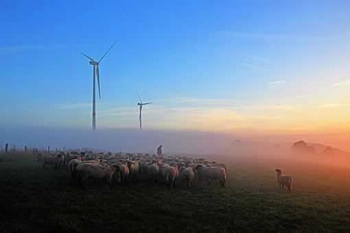 部分取款通道维护怎么办.小编心得（图）