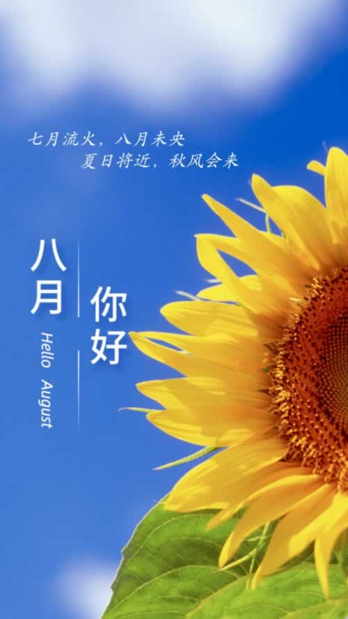 黑平台不让提现怎么办.内容开头语(图)