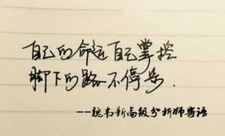 网站自动抽查审核,提现受阻?揭秘“藏分”真相,助你顺利提现!