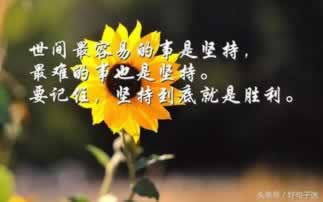 被黑了不给出款解决办法这里有妙招.内容概要(图)