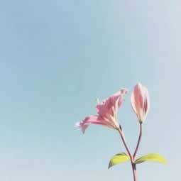 【揭秘】没达到流水不让提款?教你几招巧妙应对!