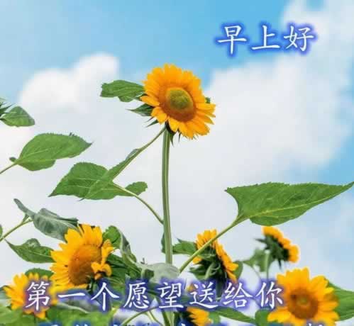 在网上碰到被黑提取失败该.侧重点(图)