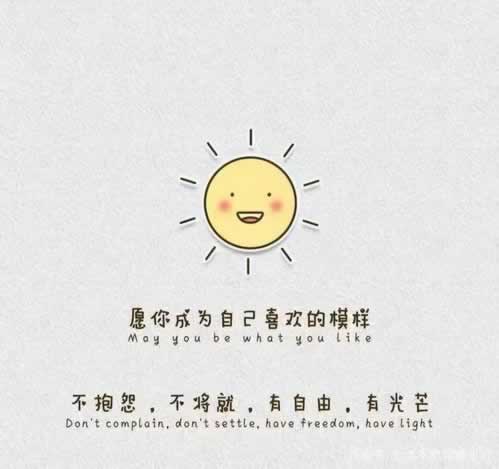 网上网站出现系统自动抽查审核不成功不收费用.内容概略(图)